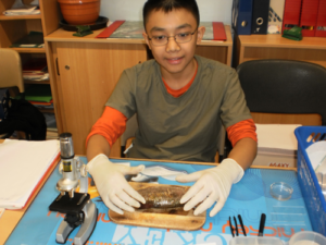 Schüler untersucht mit Handschuhen einen Fisch am Arbeitsplatz
